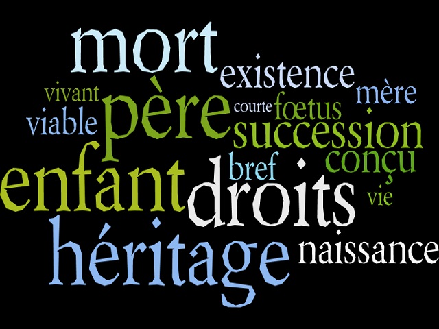 Article : Cameroun : code civil et héritage pour les nouveaux-nés qui décèdent
